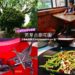 花蓮民宿餐廳|芳草古樹花園:是民宿,是餐廳也是咖啡館,還可以露營,DIY植物染 花蓮鳳林鎮團體聚餐客家菜餐廳