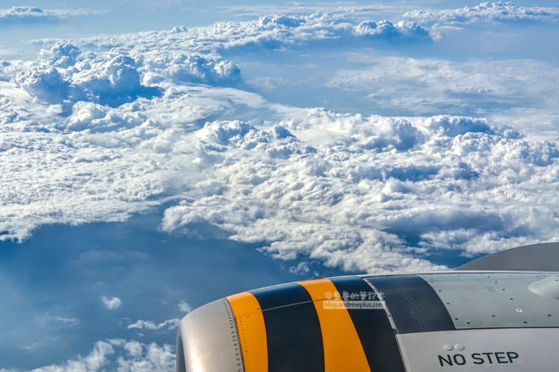 旭川機場,接駁巴士,免稅店