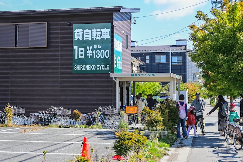 輕井澤租自行車,白貓自行車,輕井澤景點