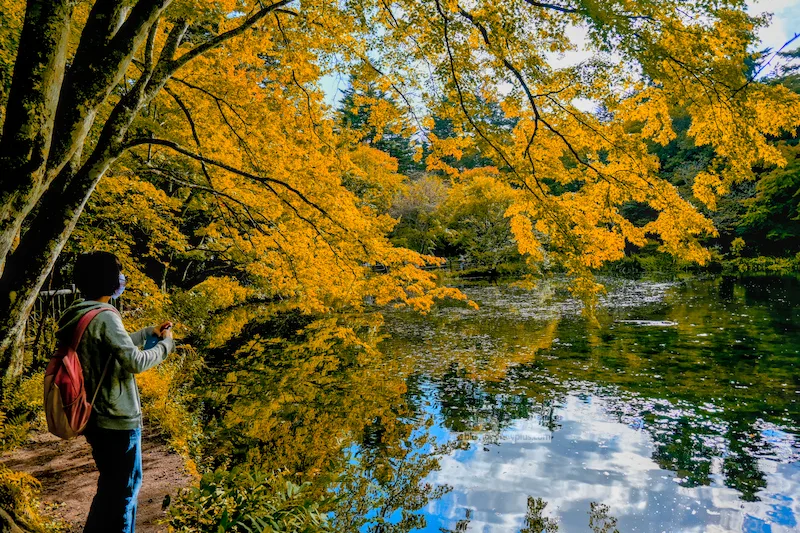 輕井澤雲場池 白鳥湖四季詩篇：楓紅倒影、避暑漫步與池畔咖啡