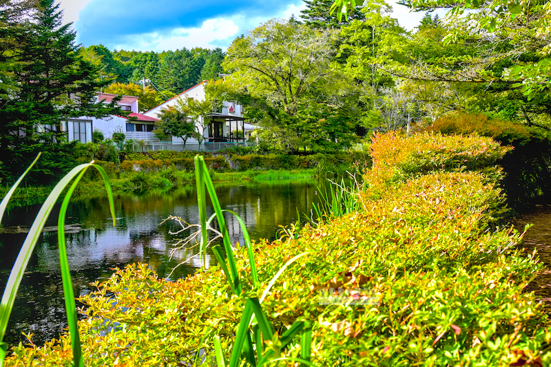 輕井澤雲場池,輕井澤賞楓,日本紅葉