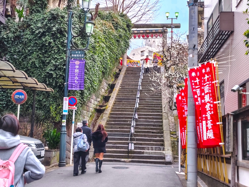 湯島天滿宮,湯島神社,東京賞梅