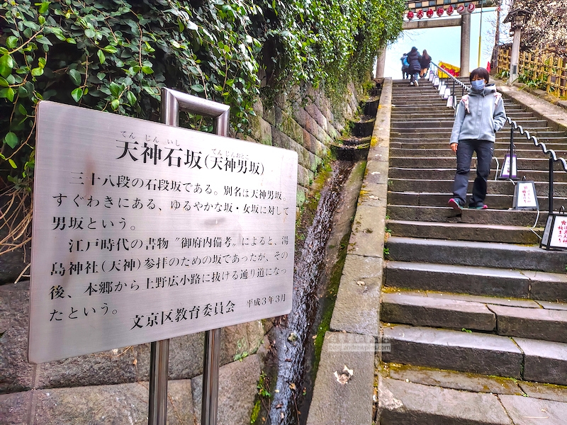 湯島天滿宮,湯島神社,東京賞梅