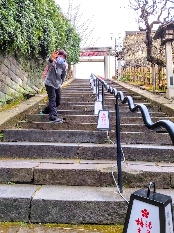 湯島天滿宮,湯島神社,東京賞梅