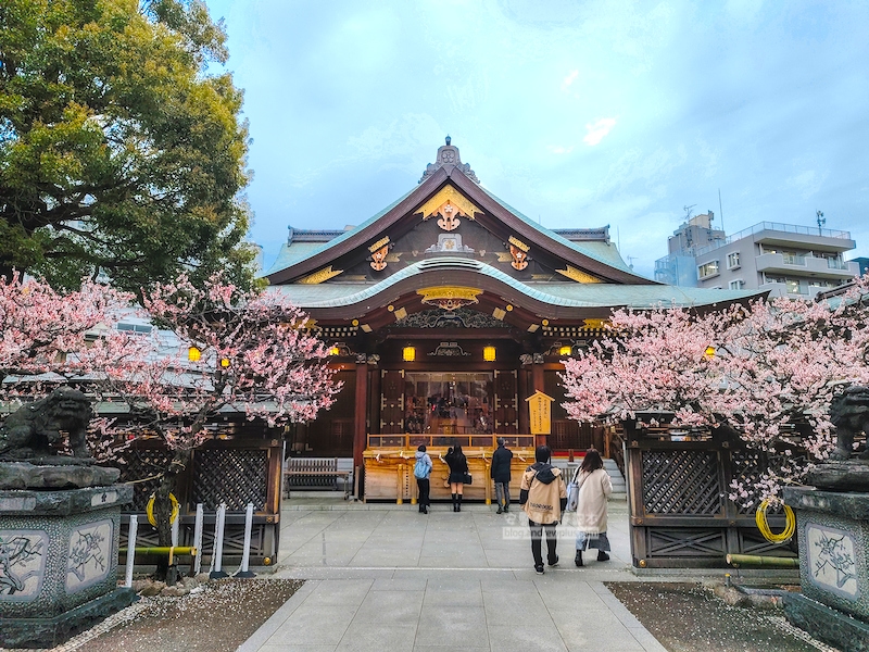湯島天滿宮,湯島神社,東京賞梅