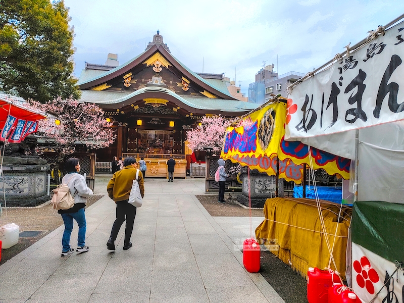 湯島天滿宮,湯島神社,東京賞梅