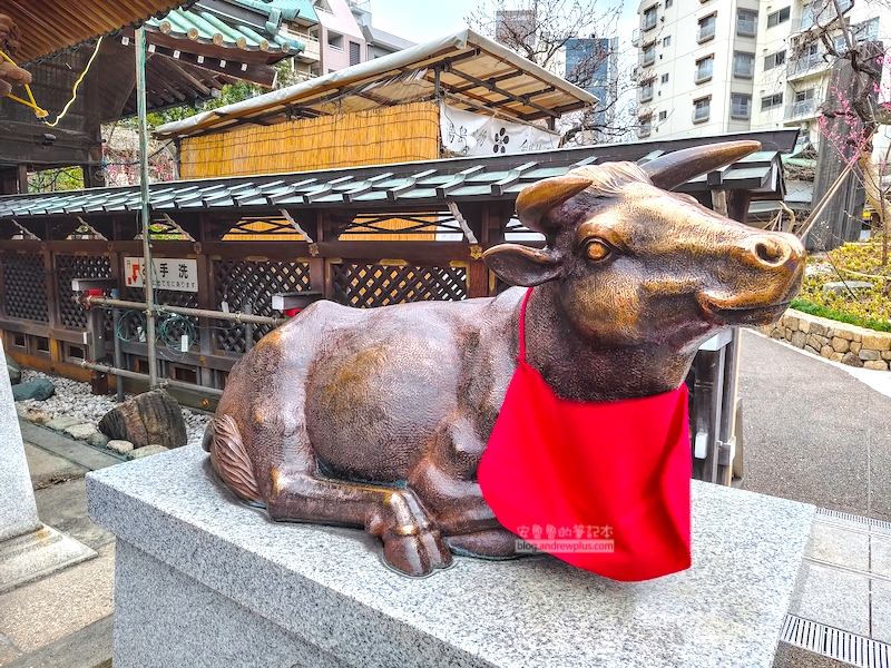 湯島天滿宮,湯島神社,東京賞梅