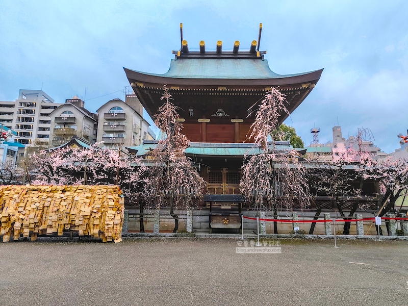 湯島天滿宮,湯島神社,東京賞梅