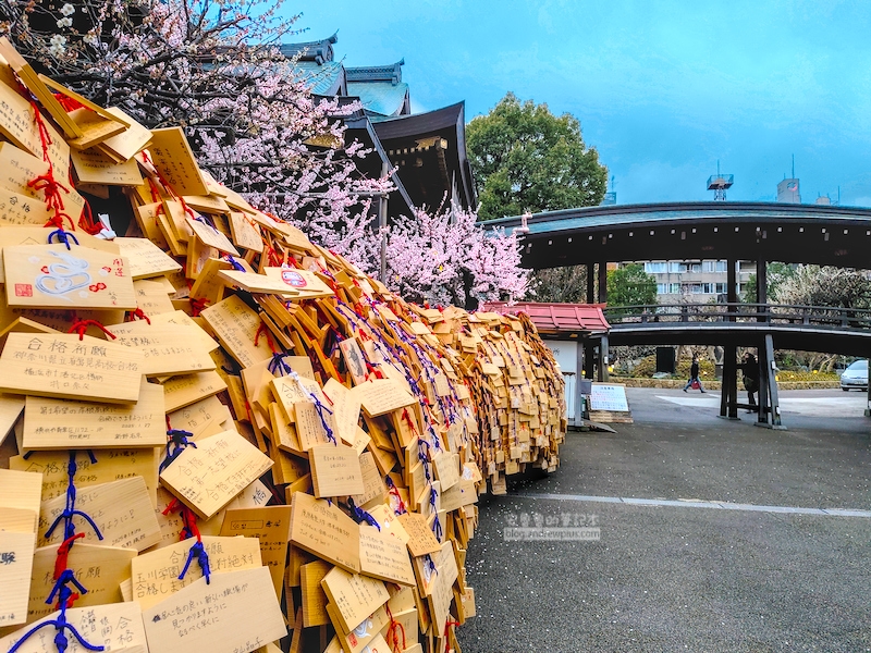 湯島天滿宮,湯島神社,東京賞梅