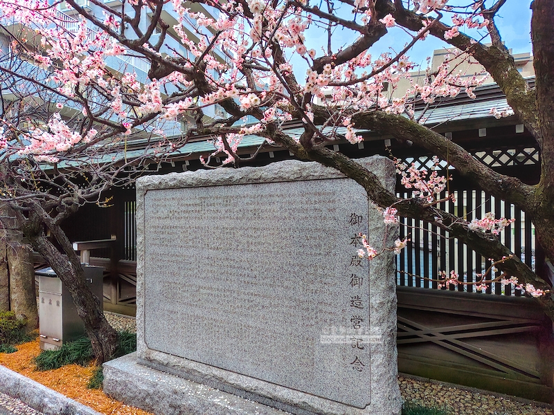 湯島天滿宮,湯島神社,東京賞梅