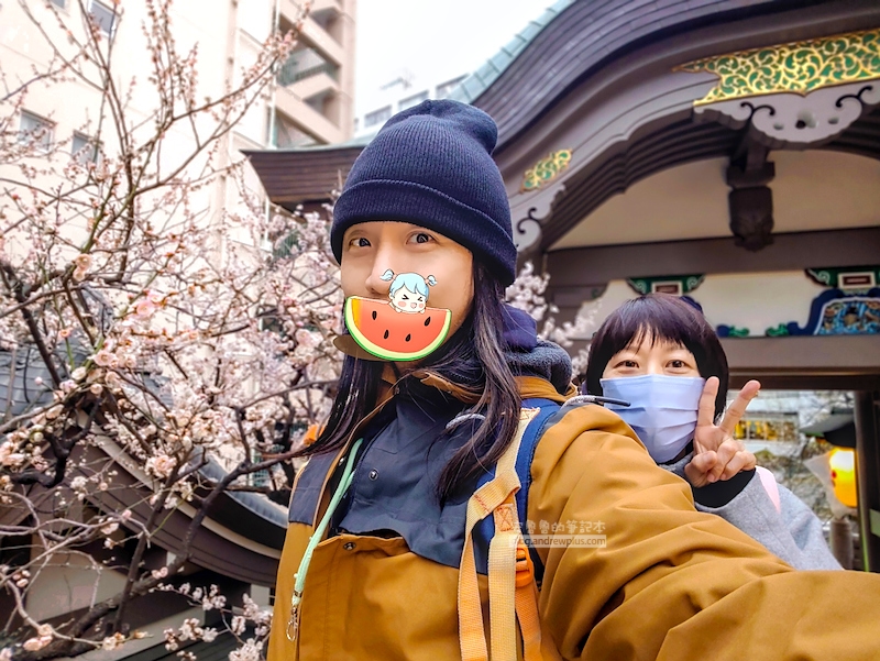 湯島天滿宮,湯島神社,東京賞梅