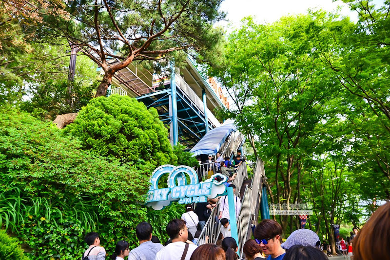 韓國大邱遊樂園,Eworld,夜間通票