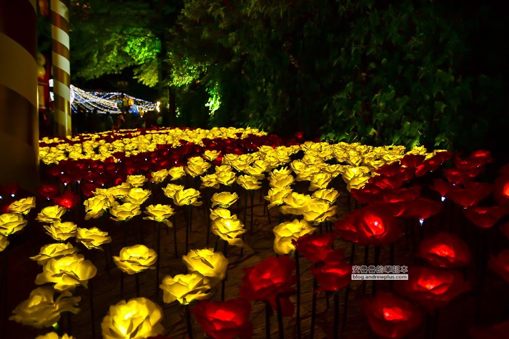 韓國大邱Eworld,韓國大邱遊樂園,Eworld購票資訊