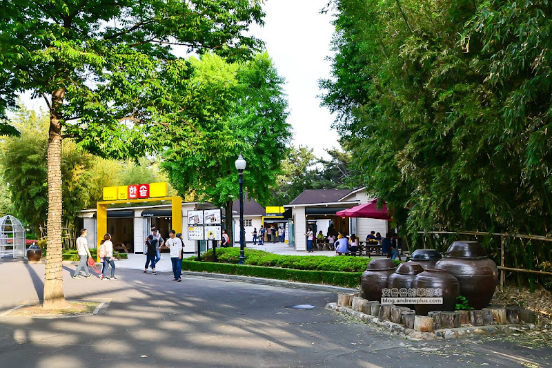 韓國大邱遊樂園,Eworld,夜間通票