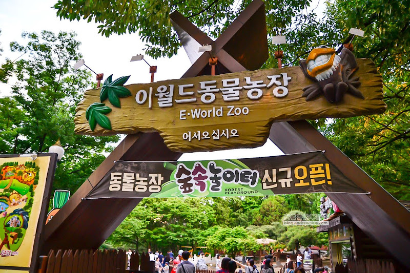 韓國大邱遊樂園,Eworld,夜間通票