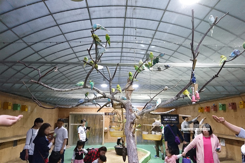 韓國大邱遊樂園,Eworld,夜間通票