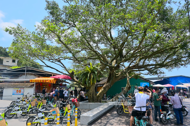 福隆租自行車,福隆租電動車,福隆自行車道
