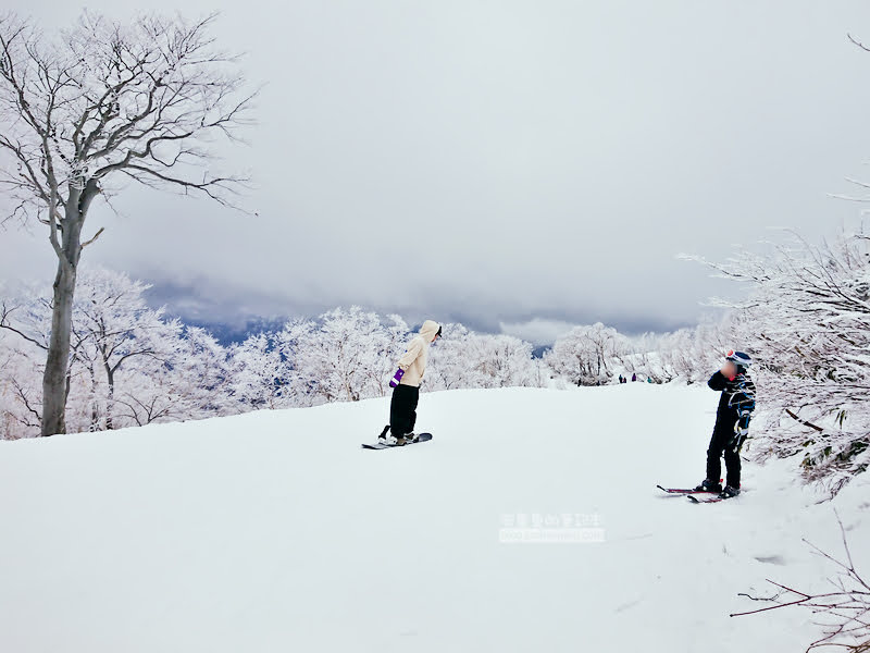 勝山滑雪場|Ski Jam勝山:西日本最大,交通資訊,雪具租借,旅行社日歸行程 56 ski jam勝山,西日本滑雪場