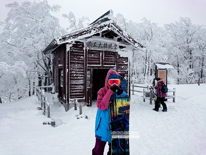 2026 藏王溫泉滑雪場懶人包, 樹冰點燈, 交通資訊, 滑雪/纜車票, 租雪具, 樹冰幻想迴廊