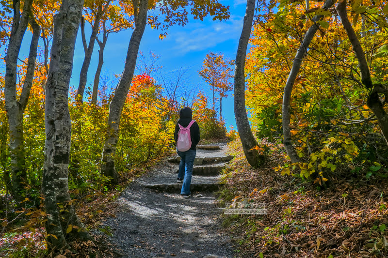 藏王溫泉賞楓 秘訣與旅遊指南,片貝沼,獨鈷沼,三五郎小屋吃美食 41 藏王溫泉紅葉,藏王溫泉賞楓,藏王溫泉
