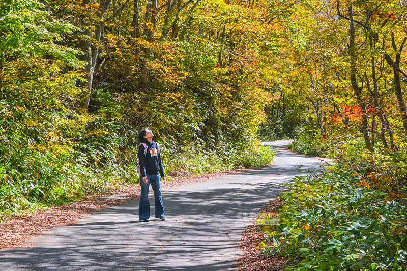 藏王溫泉賞楓 秘訣與旅遊指南,片貝沼,獨鈷沼,三五郎小屋吃美食 52 藏王溫泉紅葉,藏王溫泉賞楓,藏王溫泉