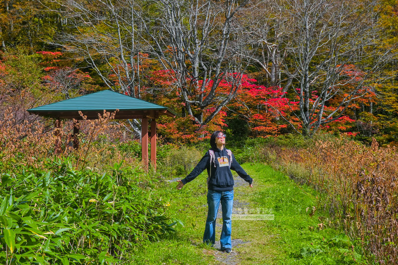 藏王溫泉賞楓 秘訣與旅遊指南,片貝沼,獨鈷沼,三五郎小屋吃美食 59 藏王溫泉紅葉,藏王溫泉賞楓,藏王溫泉