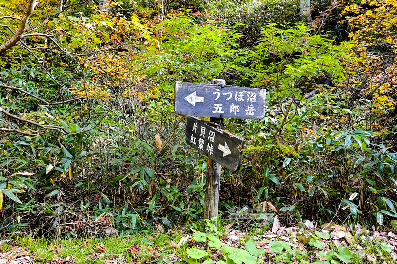 藏王溫泉賞楓 秘訣與旅遊指南,片貝沼,獨鈷沼,三五郎小屋吃美食 63 藏王溫泉紅葉,藏王溫泉賞楓,藏王溫泉