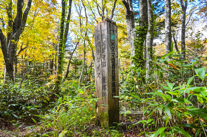 藏王溫泉賞楓 秘訣與旅遊指南,片貝沼,獨鈷沼,三五郎小屋吃美食 65 藏王溫泉紅葉,藏王溫泉賞楓,藏王溫泉