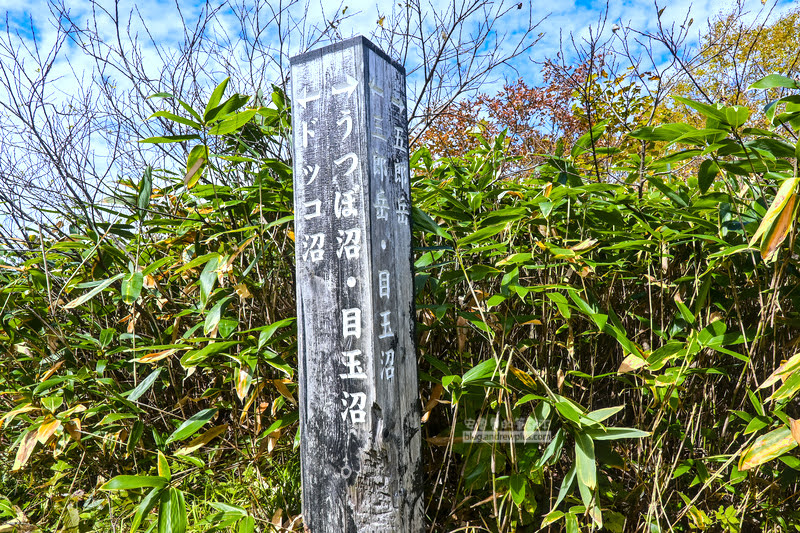 藏王溫泉賞楓 秘訣與旅遊指南,片貝沼,獨鈷沼,三五郎小屋吃美食 66 藏王溫泉紅葉,藏王溫泉賞楓,藏王溫泉