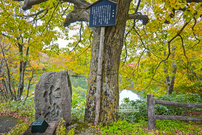 藏王溫泉賞楓 秘訣與旅遊指南,片貝沼,獨鈷沼,三五郎小屋吃美食 76 藏王溫泉紅葉,藏王溫泉賞楓,藏王溫泉