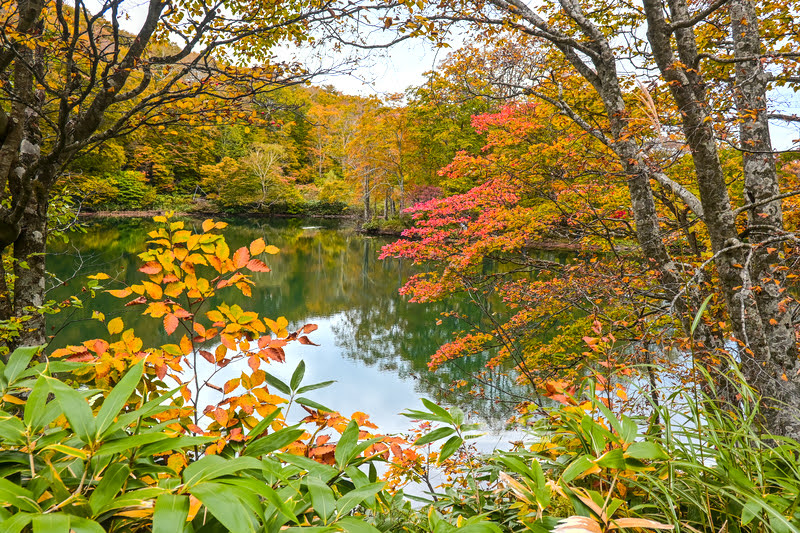 藏王溫泉賞楓 秘訣與旅遊指南,片貝沼,獨鈷沼,三五郎小屋吃美食 2 藏王溫泉紅葉,藏王溫泉賞楓,藏王溫泉
