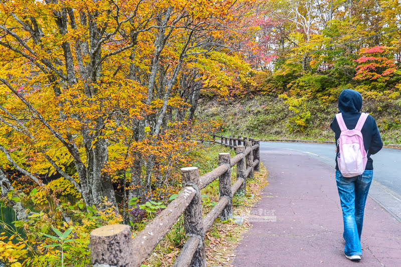 三五郎小屋,藏王溫泉推薦餐廳,藏王溫泉賞楓