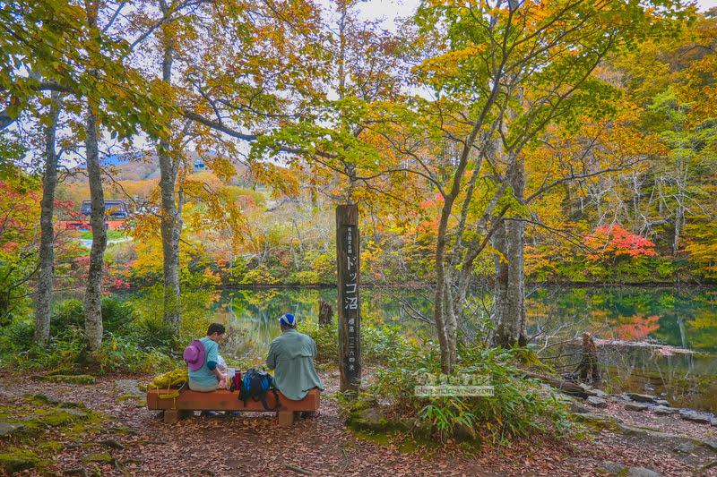 藏王溫泉賞楓 秘訣與旅遊指南,片貝沼,獨鈷沼,三五郎小屋吃美食 79 藏王溫泉紅葉,藏王溫泉賞楓,藏王溫泉