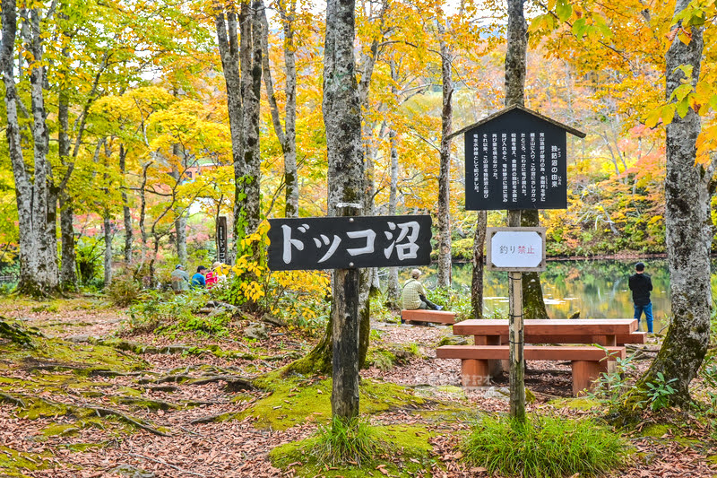 藏王溫泉賞楓 秘訣與旅遊指南,片貝沼,獨鈷沼,三五郎小屋吃美食 78 藏王溫泉紅葉,藏王溫泉賞楓,藏王溫泉