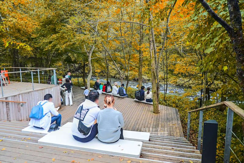 榆樹街小鎮賞紅葉:輕井澤星野渡假區3大遊玩攻略,購物、美食、野餐一地滿足! 榆樹街小鎮賞紅葉:輕井澤星野渡假區3大遊玩攻略,購物、美食、野餐一地滿足!