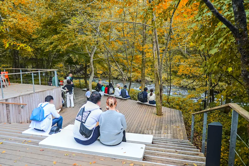榆樹街小鎮賞紅葉：輕井澤星野渡假區3大遊玩攻略，購物、美食、野餐一地滿足！
