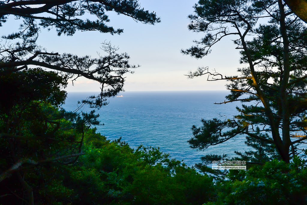 影島太宗台繡球花,太宗寺繡球花,太宗臺紫陽花,釜山影島景點