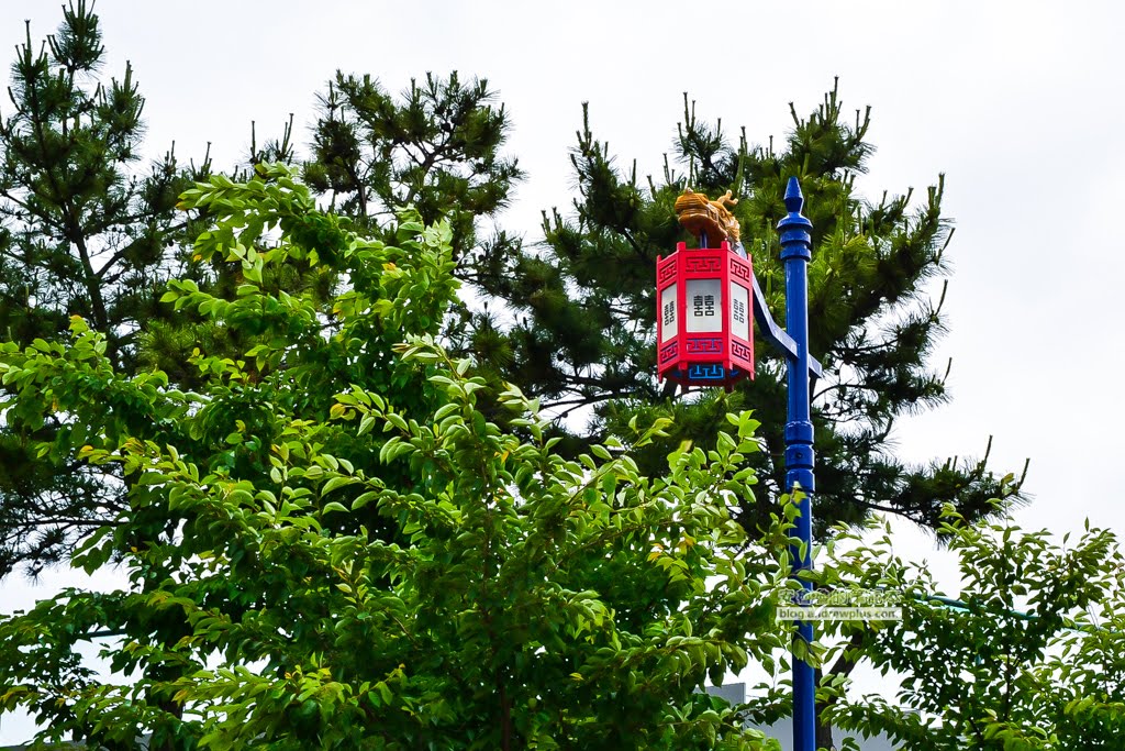 海東龍宮寺,釜山必去景點,釜山好玩,釜山景點