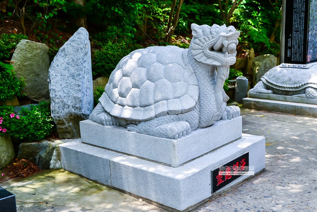 海東龍宮寺,釜山必去景點,釜山好玩,釜山景點