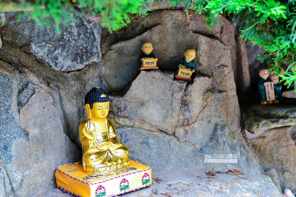 海東龍宮寺,釜山必去景點,釜山好玩,釜山景點