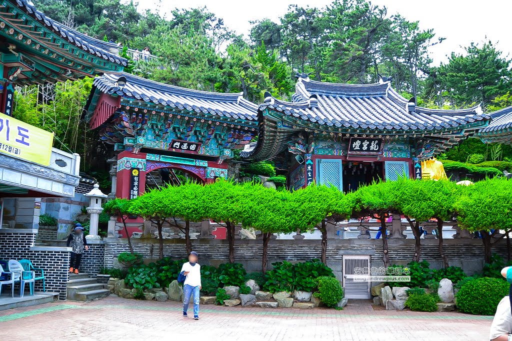 海東龍宮寺,釜山必去景點,釜山好玩,釜山景點