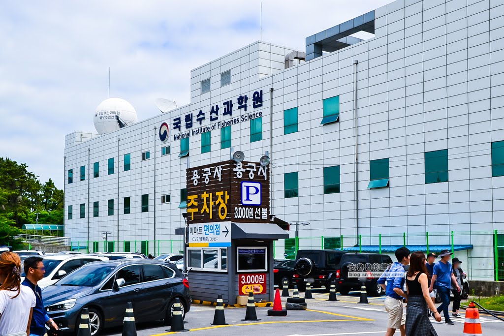 海東龍宮寺,釜山必去景點,釜山好玩,釜山景點