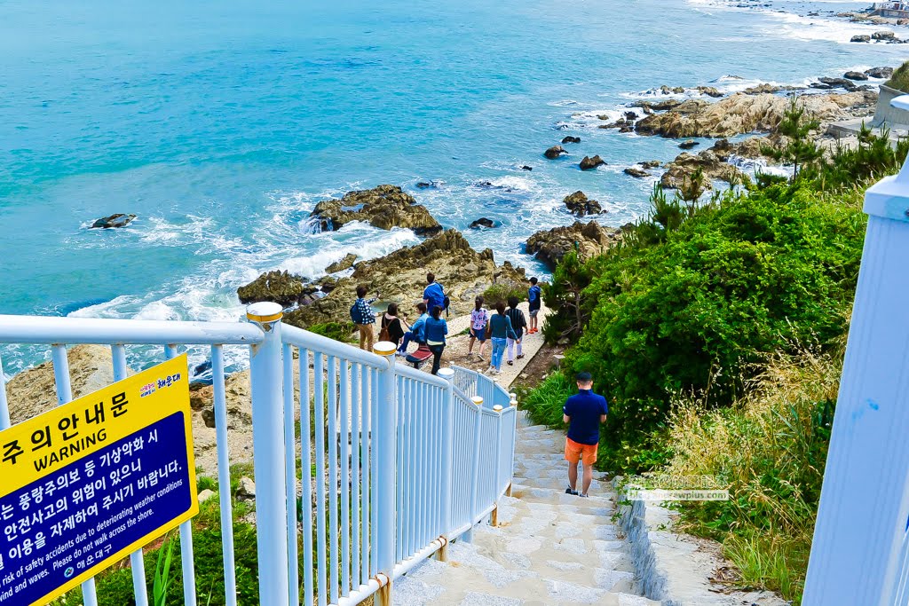 釜山海雲台景點|青沙浦橋石展望台(청사포다릿돌전망대)-日出海景,青沙浦天空步道skywalk 12 青沙浦天空步道,釜山天空步道,青沙浦橋石展望台,釜山海雲台景點