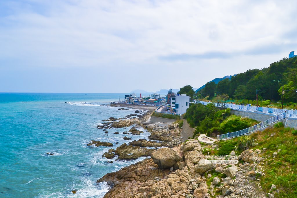 釜山海雲台景點|青沙浦橋石展望台(청사포다릿돌전망대)-日出海景,青沙浦天空步道skywalk 24 青沙浦天空步道,釜山天空步道,青沙浦橋石展望台,釜山海雲台景點