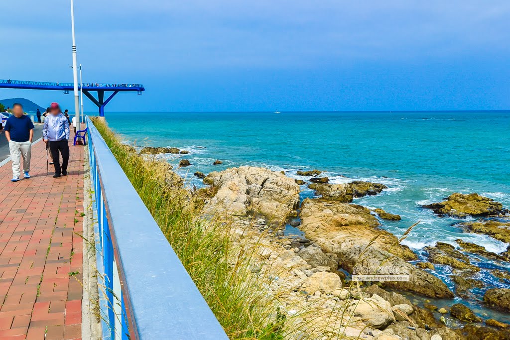 釜山海雲台景點|青沙浦橋石展望台(청사포다릿돌전망대)-日出海景,青沙浦天空步道skywalk 3 青沙浦天空步道,釜山天空步道,青沙浦橋石展望台,釜山海雲台景點