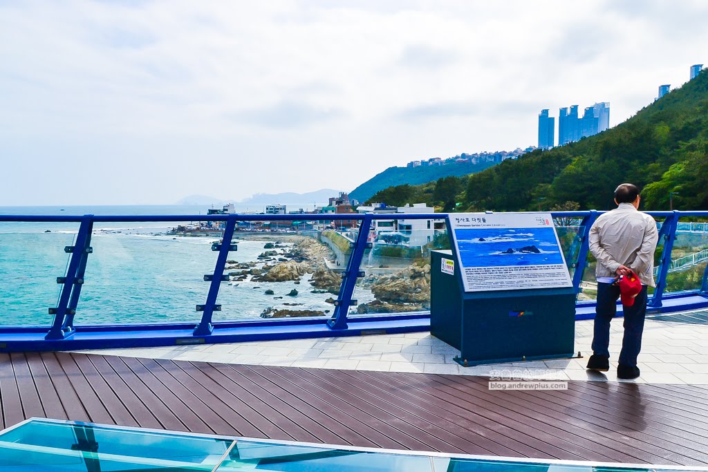 釜山海雲台景點|青沙浦橋石展望台(청사포다릿돌전망대)-日出海景,青沙浦天空步道skywalk 23 青沙浦天空步道,釜山天空步道,青沙浦橋石展望台,釜山海雲台景點