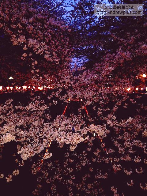 東京賞櫻景點-目黑川,日比谷中目黑站步行1分鐘 7 E69DB1E4BAACE6ABBBE88AB1E4B8ADE79BAEE9BB911 - blackandrew