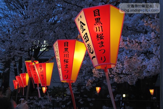 東京賞櫻景點-目黑川,日比谷中目黑站步行1分鐘 13 E69DB1E4BAACE6ABBBE88AB1IMG 3781 - blackandrew