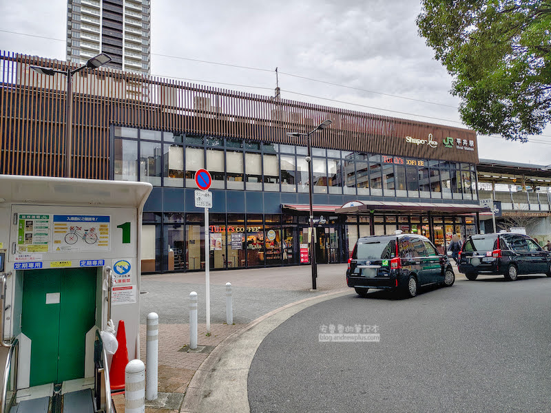 舊中川櫻花,平井站,東京河津櫻