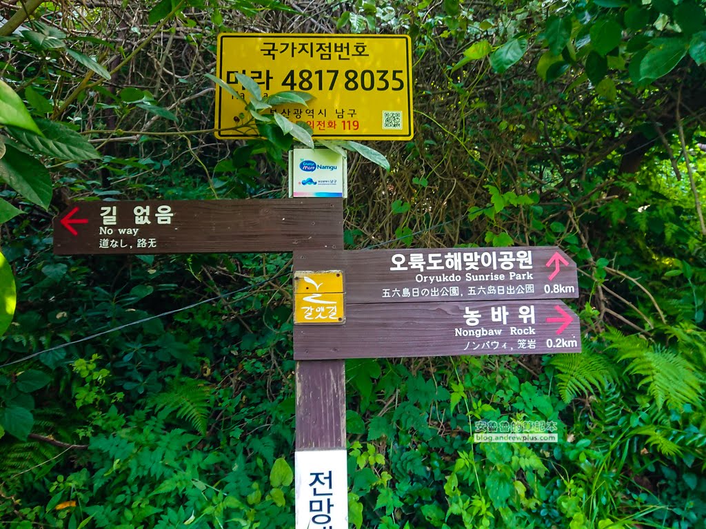 二妓台健行,釜山景點,二妓台海岸風景